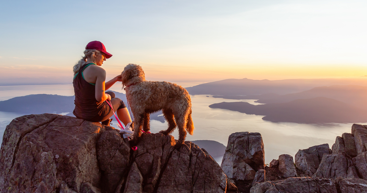 Business documentation